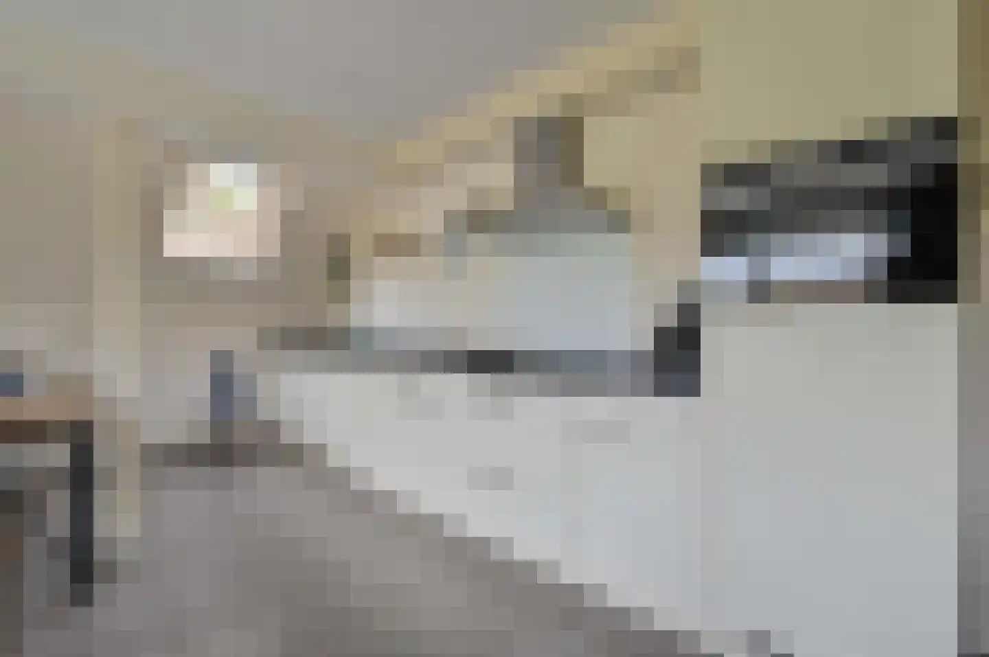De Rug 3 283 Lauwersoog thumbnail 10