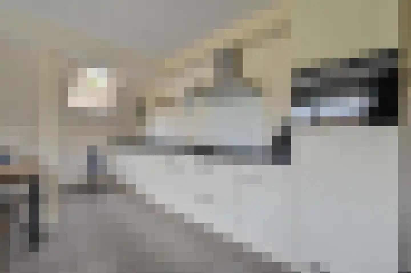 De Rug 3 283 Lauwersoog thumbnail 10