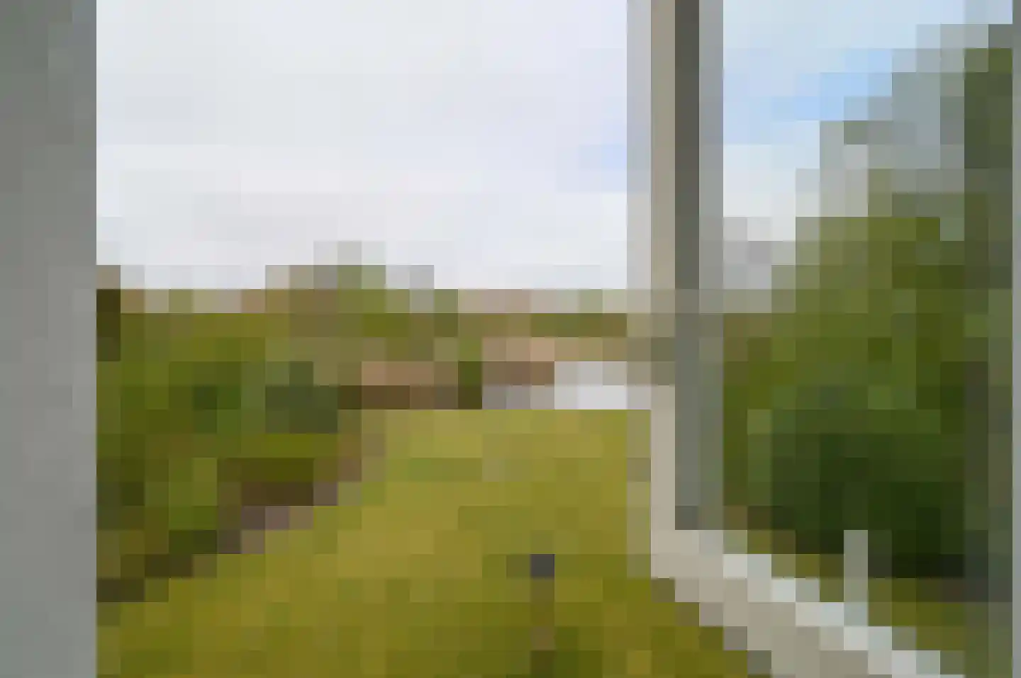 De Rug 3 283 Lauwersoog thumbnail 20