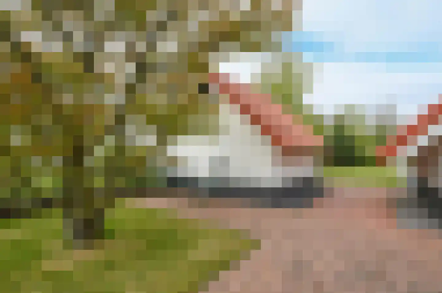 De Rug 3 283 Lauwersoog thumbnail 25