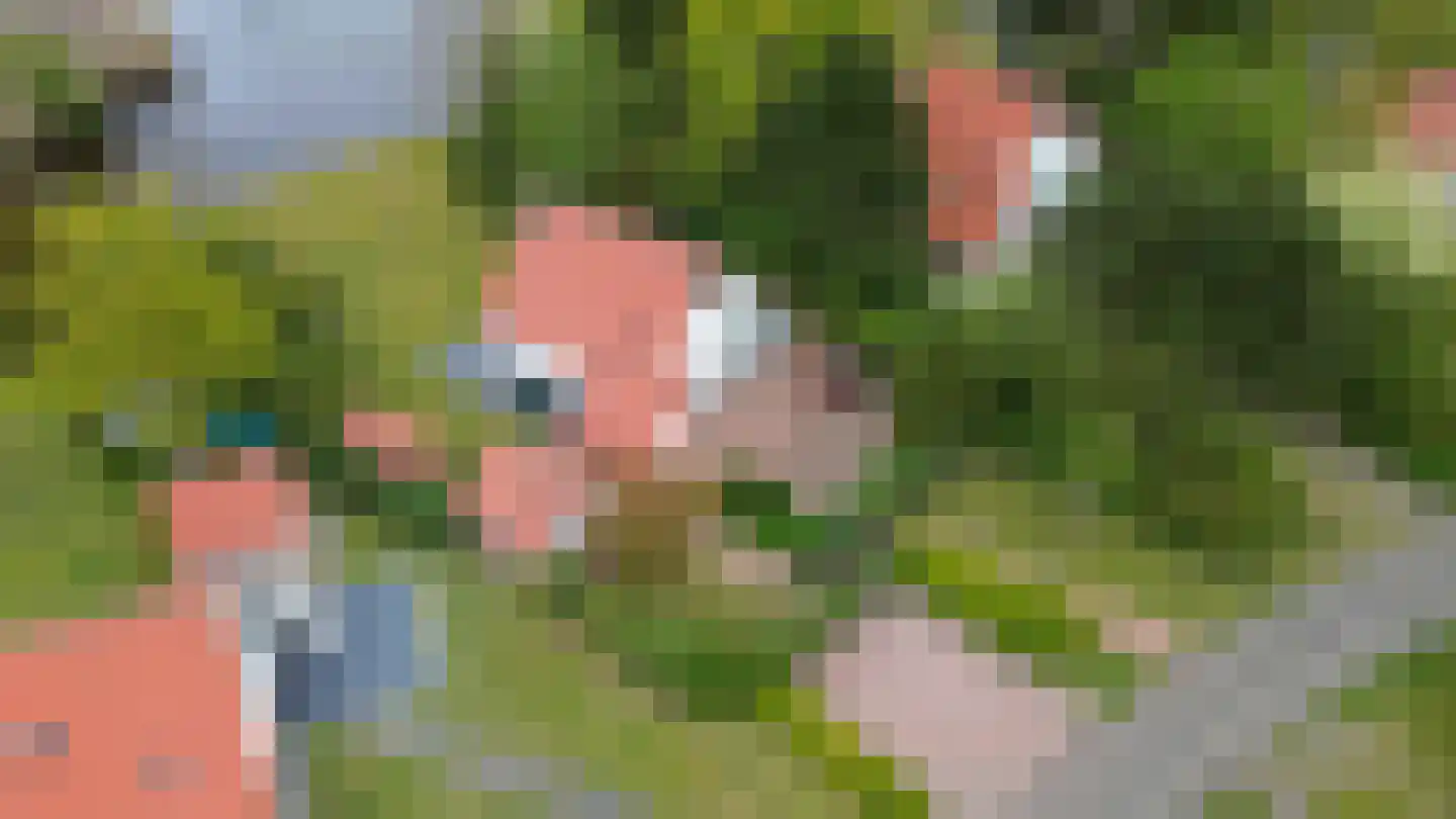 De Rug 3 283 Lauwersoog thumbnail 29