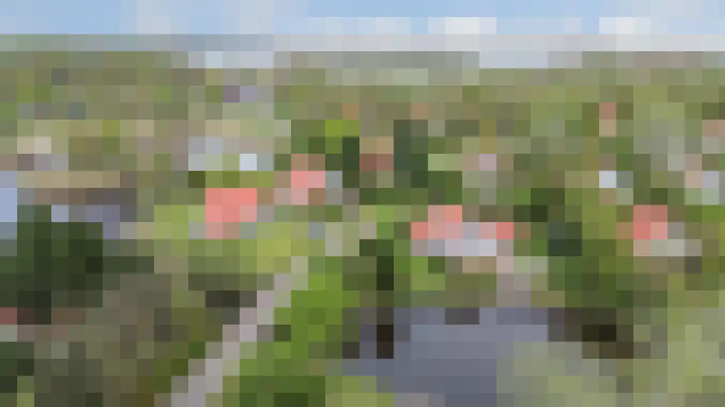 De Rug 3 283 Lauwersoog thumbnail 31