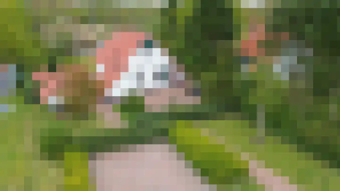 De Rug 3 283 Lauwersoog thumbnail 32