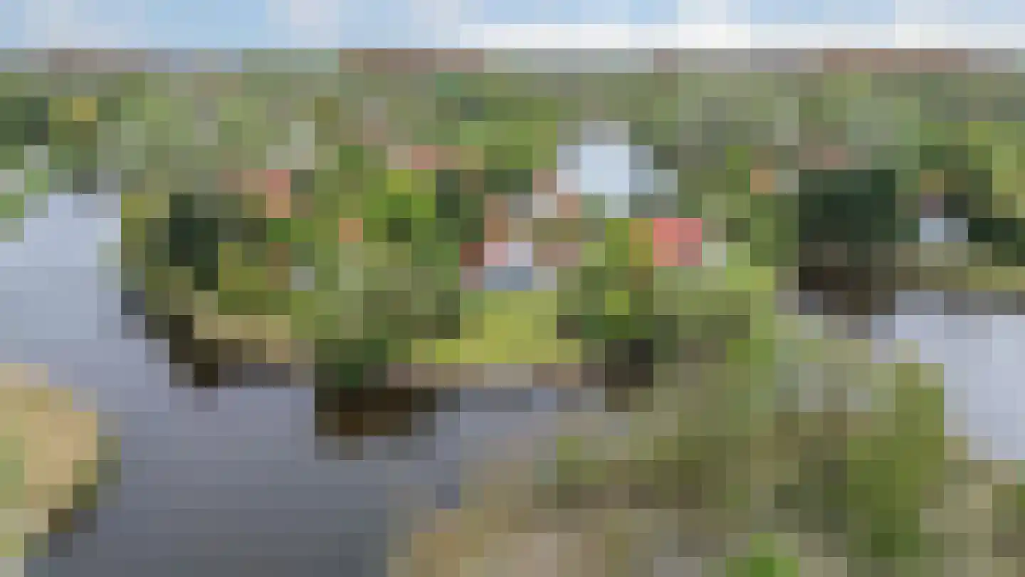 De Rug 3 283 Lauwersoog thumbnail 33