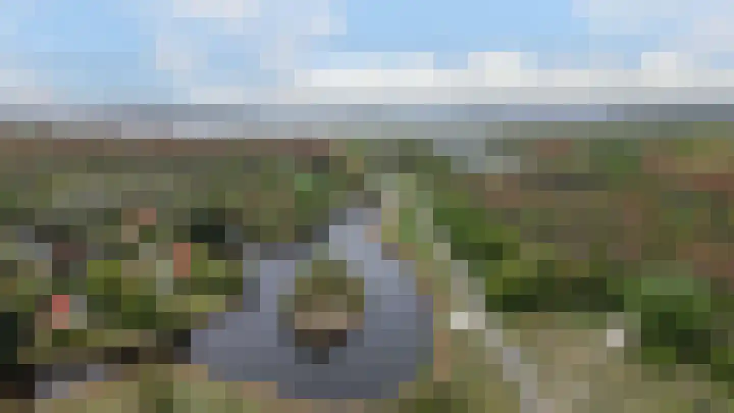 De Rug 3 283 Lauwersoog thumbnail 34