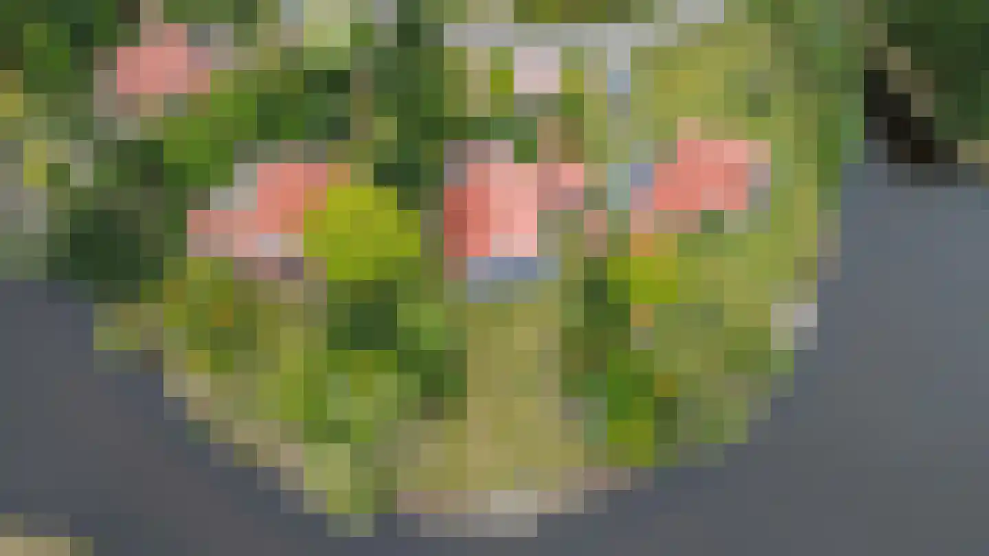 De Rug 3 283 Lauwersoog thumbnail 4