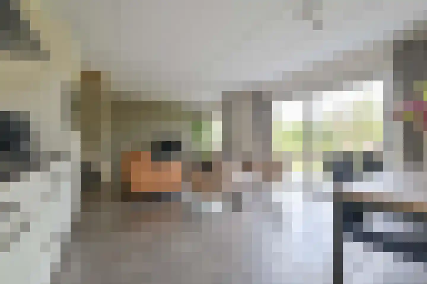 De Rug 3 283 Lauwersoog thumbnail 7