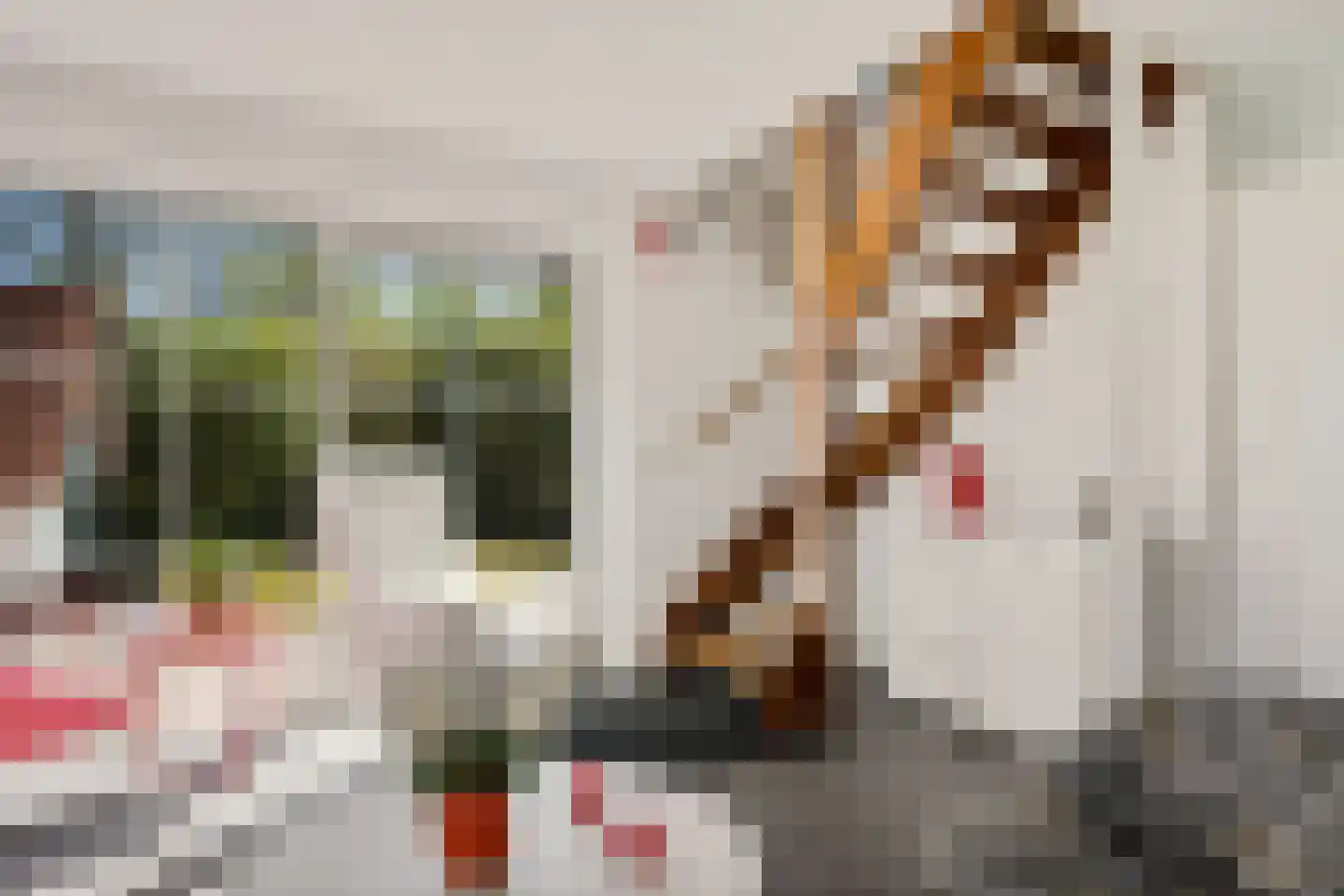 De Rug 3 295 Lauwersoog thumbnail 18