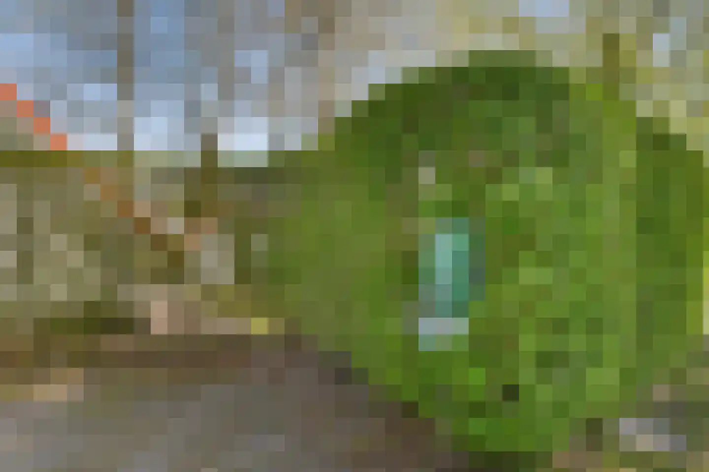 De Rug 3 295 Lauwersoog thumbnail 31