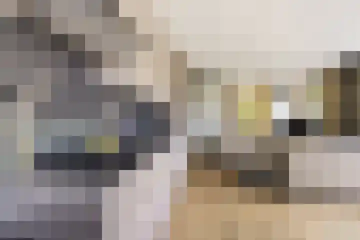 De Rug 3 58 Lauwersoog thumbnail 10