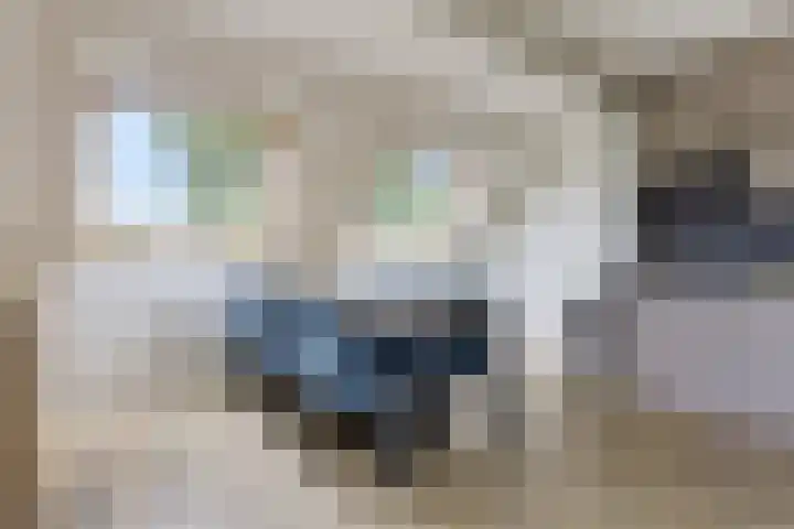 De Rug 3 58 Lauwersoog thumbnail 12