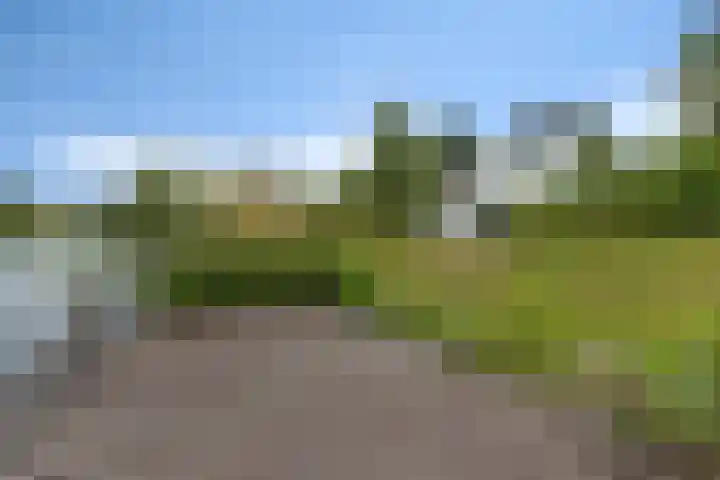 De Rug 3 58 Lauwersoog thumbnail 15