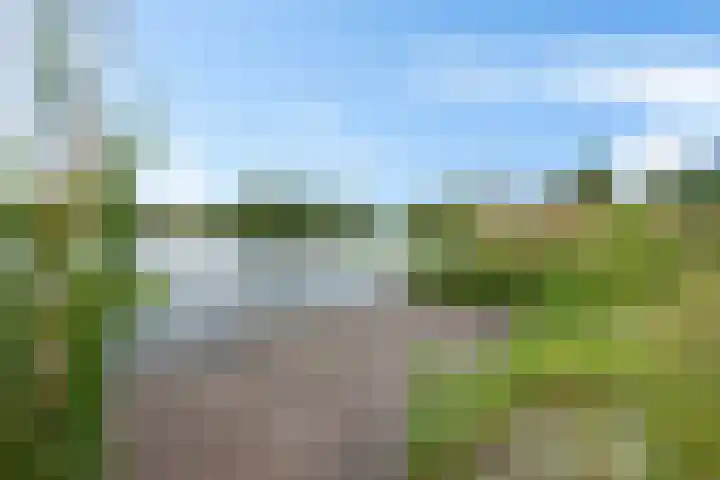 De Rug 3 58 Lauwersoog thumbnail 16