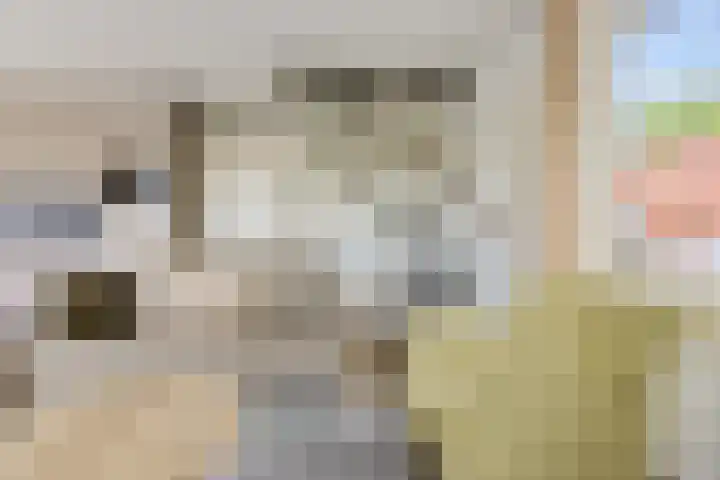 De Rug 3 58 Lauwersoog thumbnail 17