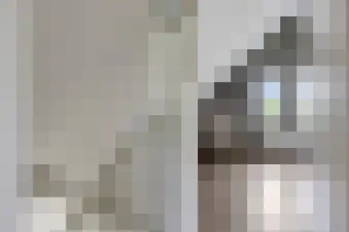 De Rug 3 58 Lauwersoog thumbnail 18