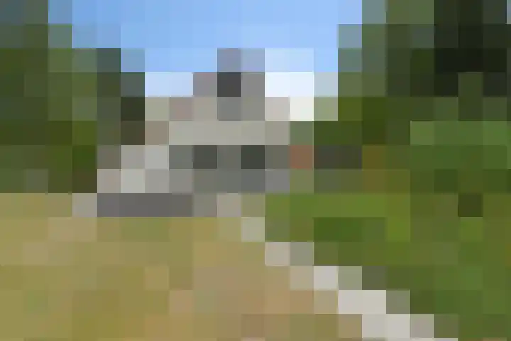 De Rug 3 58 Lauwersoog thumbnail 24