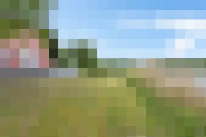 De Rug 3 58 Lauwersoog thumbnail 26