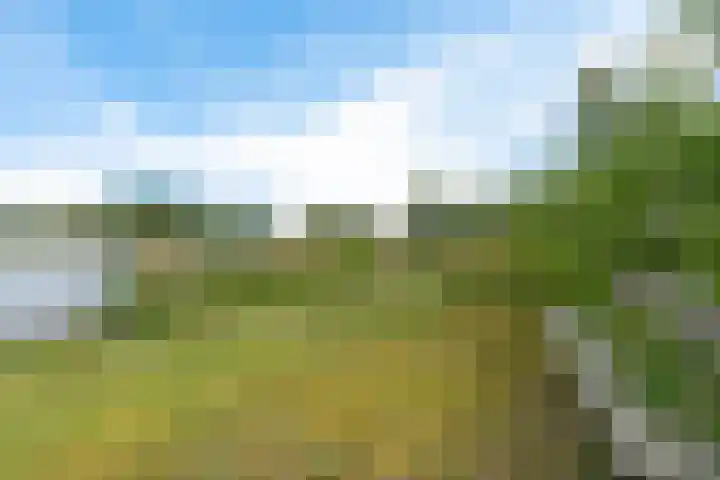 De Rug 3 58 Lauwersoog thumbnail 27