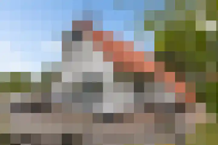 De Rug 3 58 Lauwersoog thumbnail 28