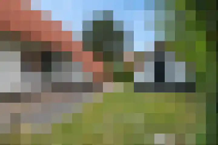 De Rug 3 58 Lauwersoog thumbnail 29