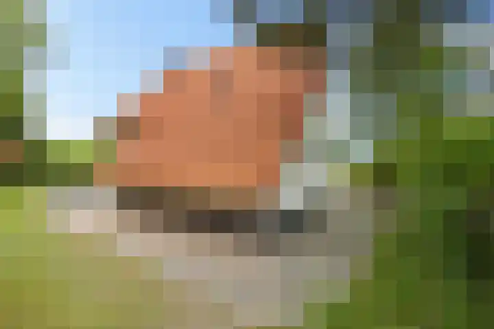 De Rug 3 58 Lauwersoog thumbnail 30