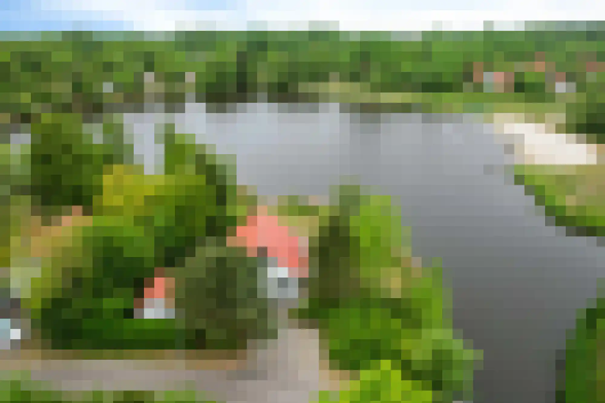 De Rug 3 58 Lauwersoog thumbnail 31