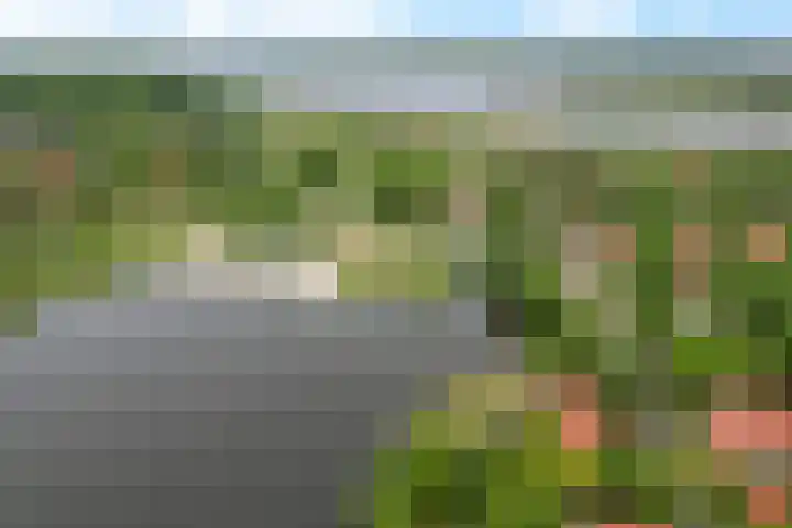 De Rug 3 58 Lauwersoog thumbnail 32
