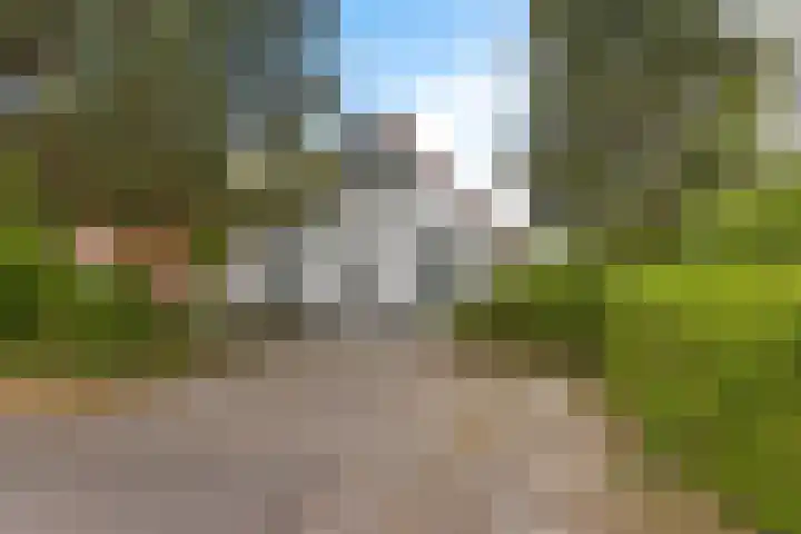 De Rug 3 58 Lauwersoog thumbnail 4