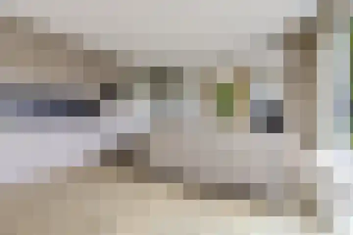 De Rug 3 58 Lauwersoog thumbnail 9