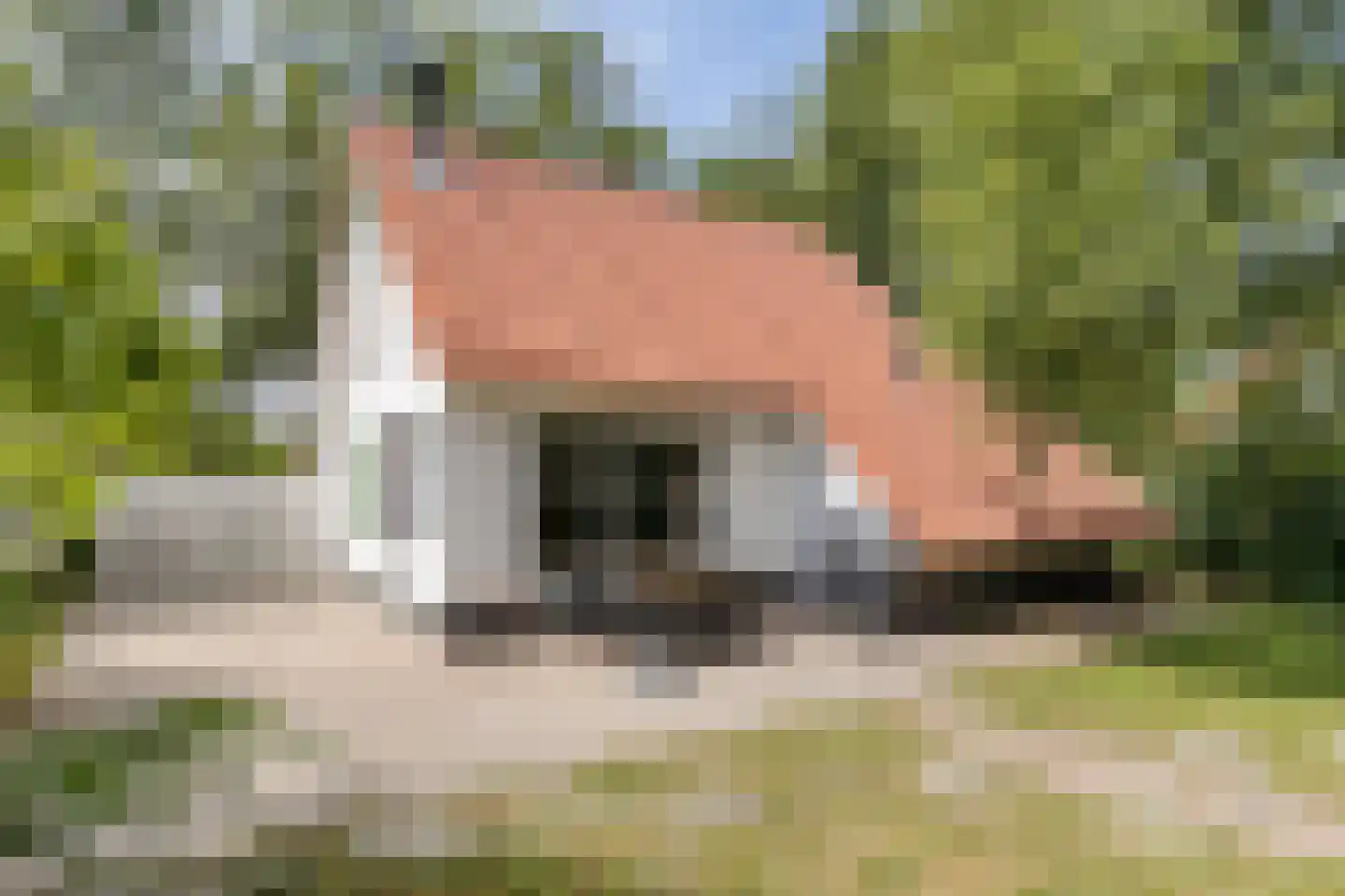 De Rug 3 61 Lauwersoog foto 2