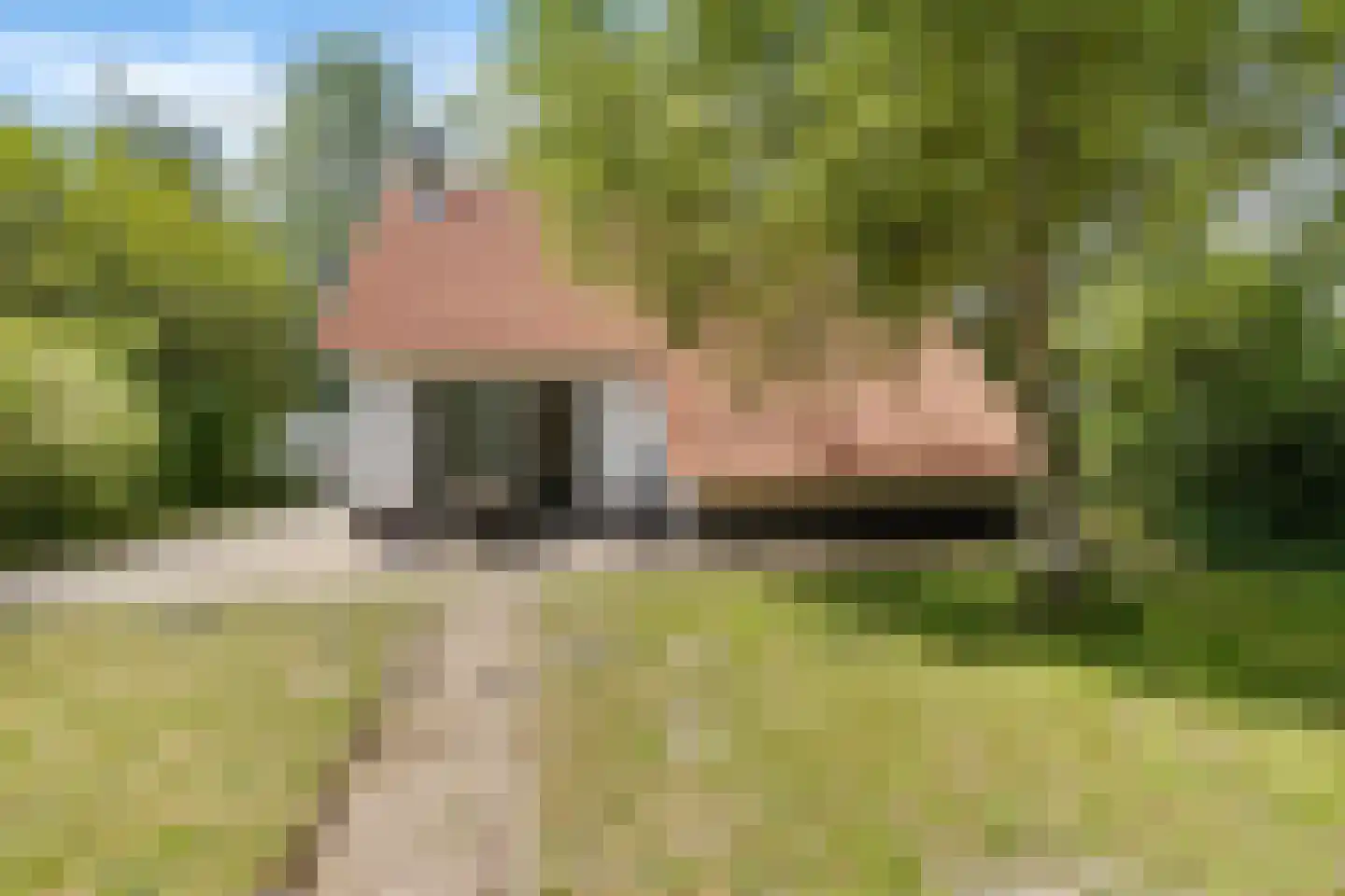 De Rug 3 61 Lauwersoog thumbnail 25
