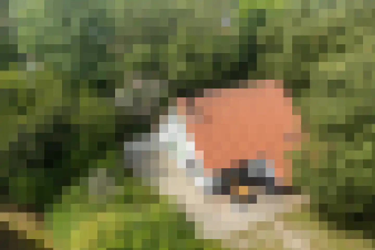 De Rug 3 61 Lauwersoog thumbnail 26