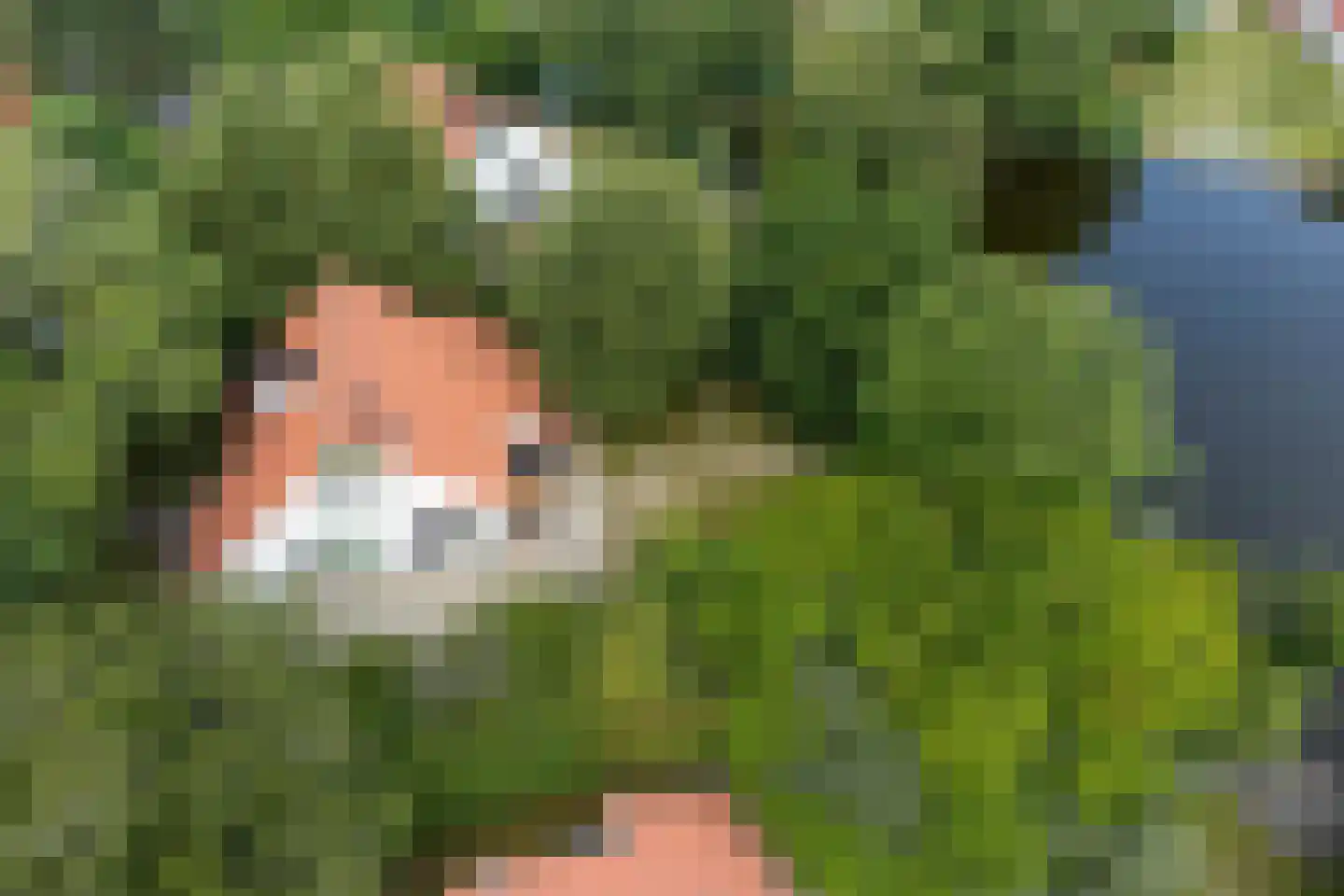 De Rug 3 61 Lauwersoog thumbnail 27