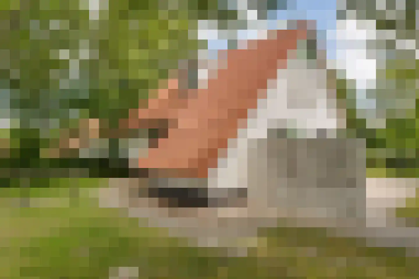 De Rug 3 61 Lauwersoog thumbnail 29