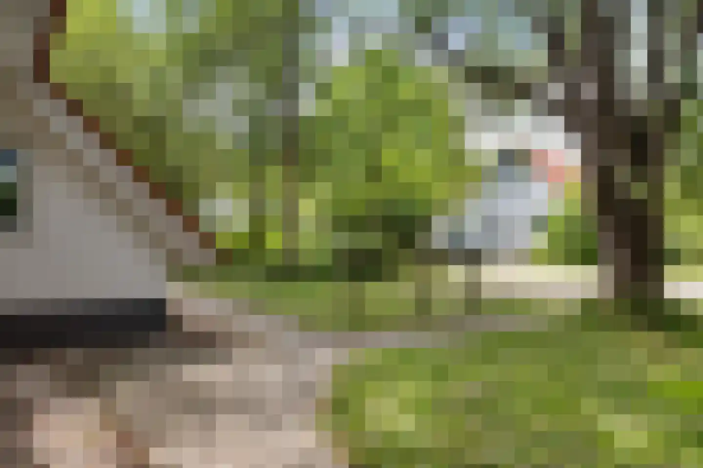 De Rug 3 61 Lauwersoog thumbnail 30