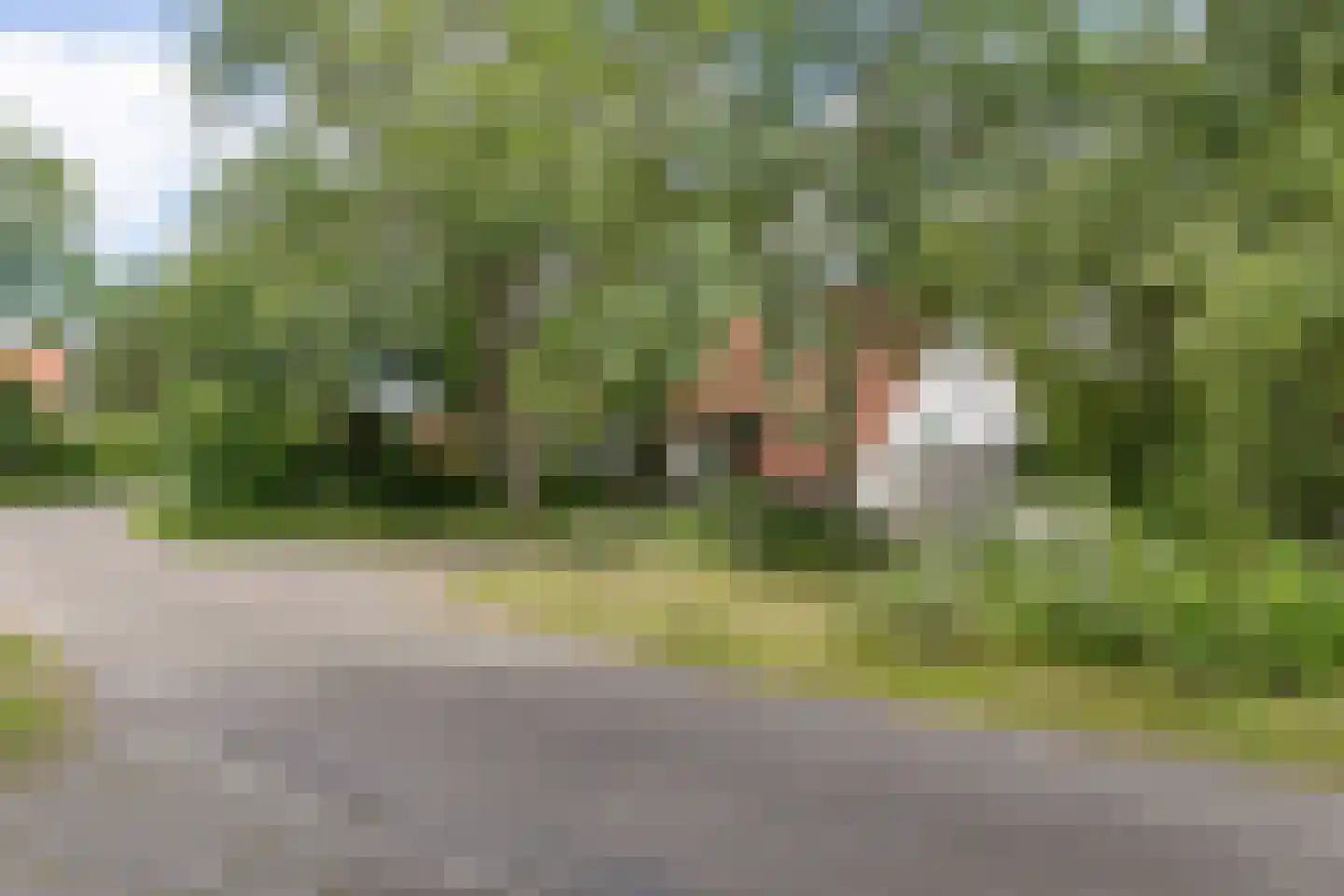 De Rug 3 61 Lauwersoog thumbnail 31