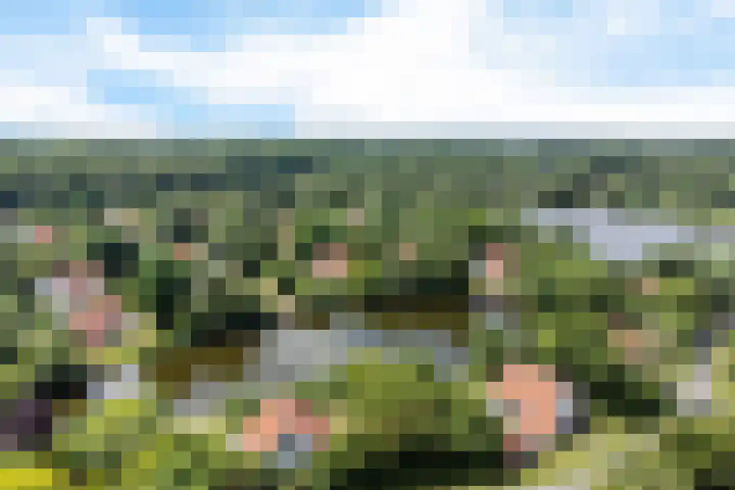 De Rug 3 61 Lauwersoog thumbnail 4