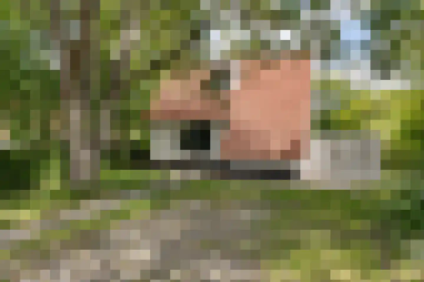 De Rug 3 61 Lauwersoog thumbnail 5