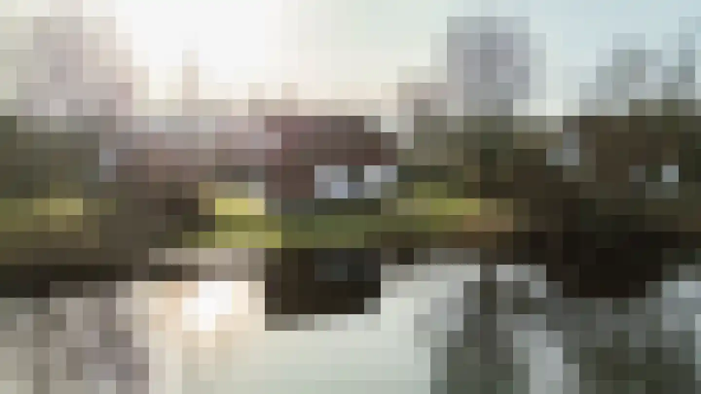 De Rug 3 67 Lauwersoog thumbnail 45