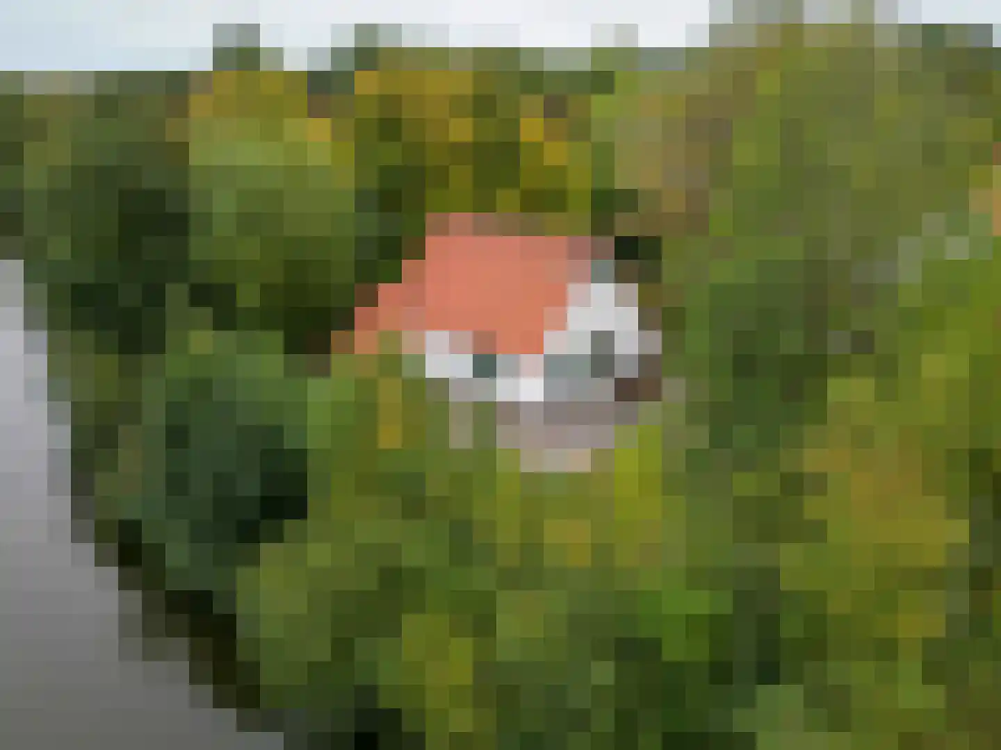 De Rug 3 69 in Lauwersoog
