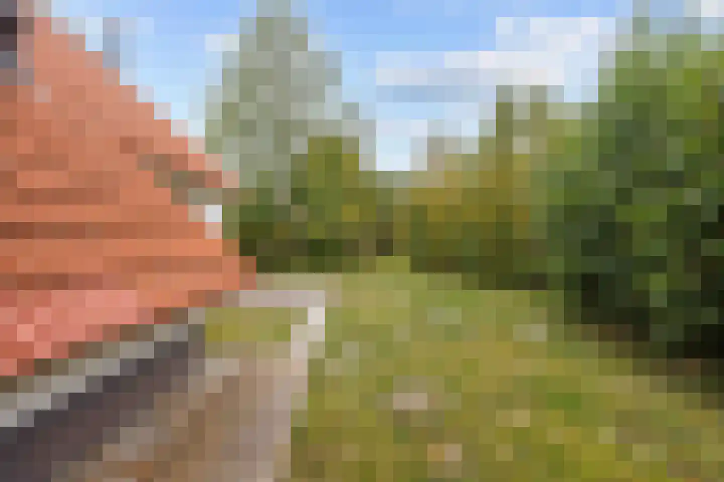 De Rug 3 69 Lauwersoog thumbnail 22