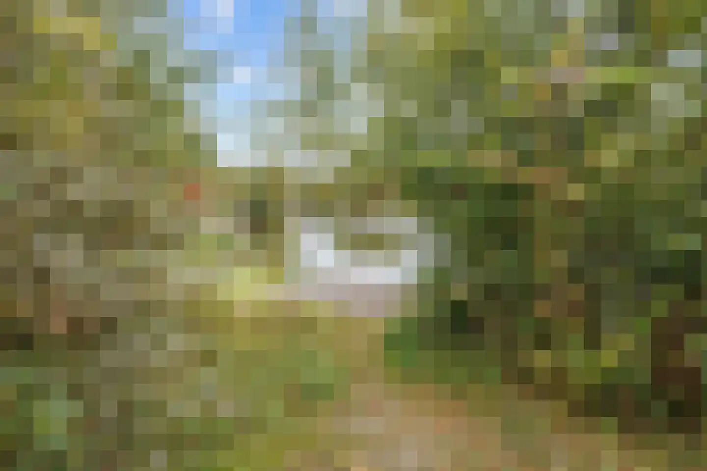 De Rug 3 69 Lauwersoog thumbnail 23