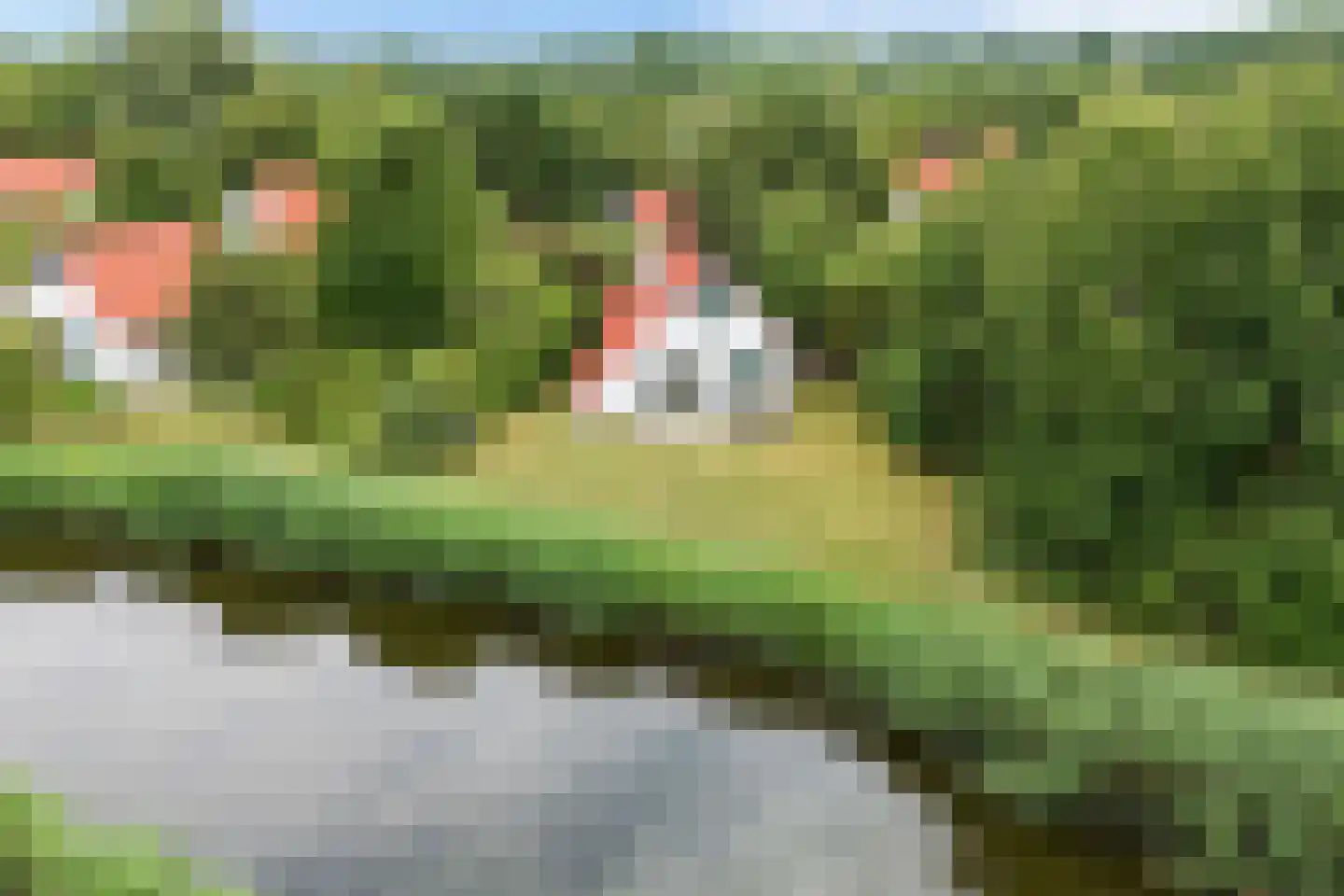 De Rug 3 81 Lauwersoog