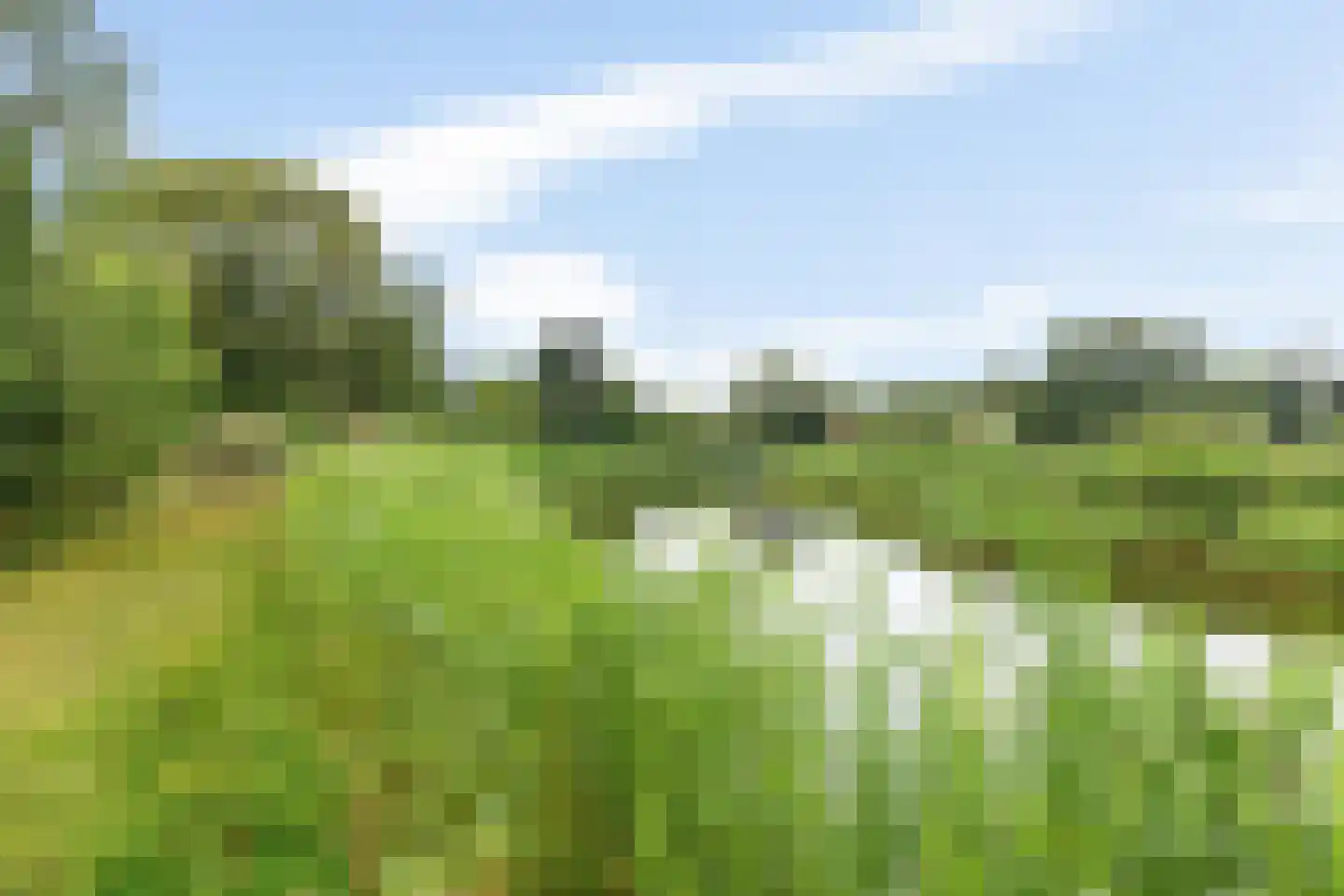 De Rug 3 81 Lauwersoog thumbnail 20