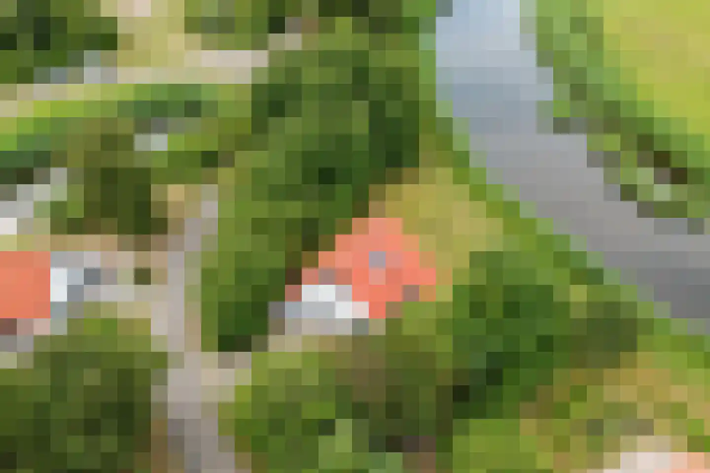 De Rug 3 81 Lauwersoog thumbnail 34
