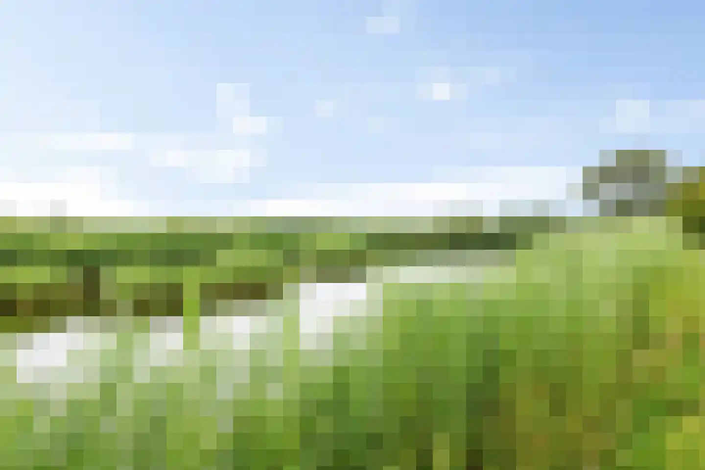 De Rug 3 81 Lauwersoog thumbnail 4