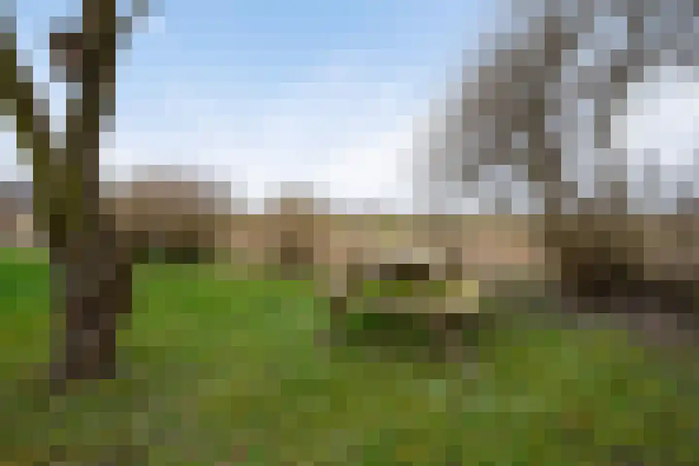 De Rug 3 91 Lauwersoog thumbnail 24