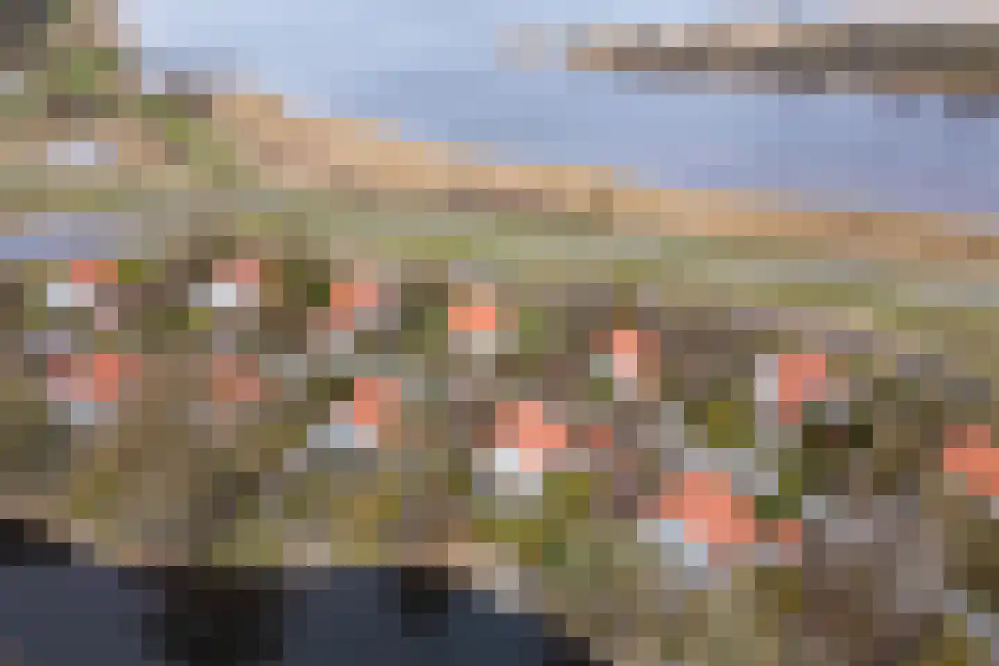 De Rug 3 91 Lauwersoog thumbnail 25