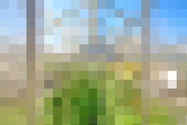 De Ruigehoek 26 A Burgerveen thumbnail 29