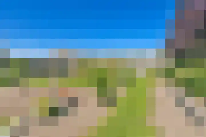 De Ruigehoek 26 A Burgerveen thumbnail 30